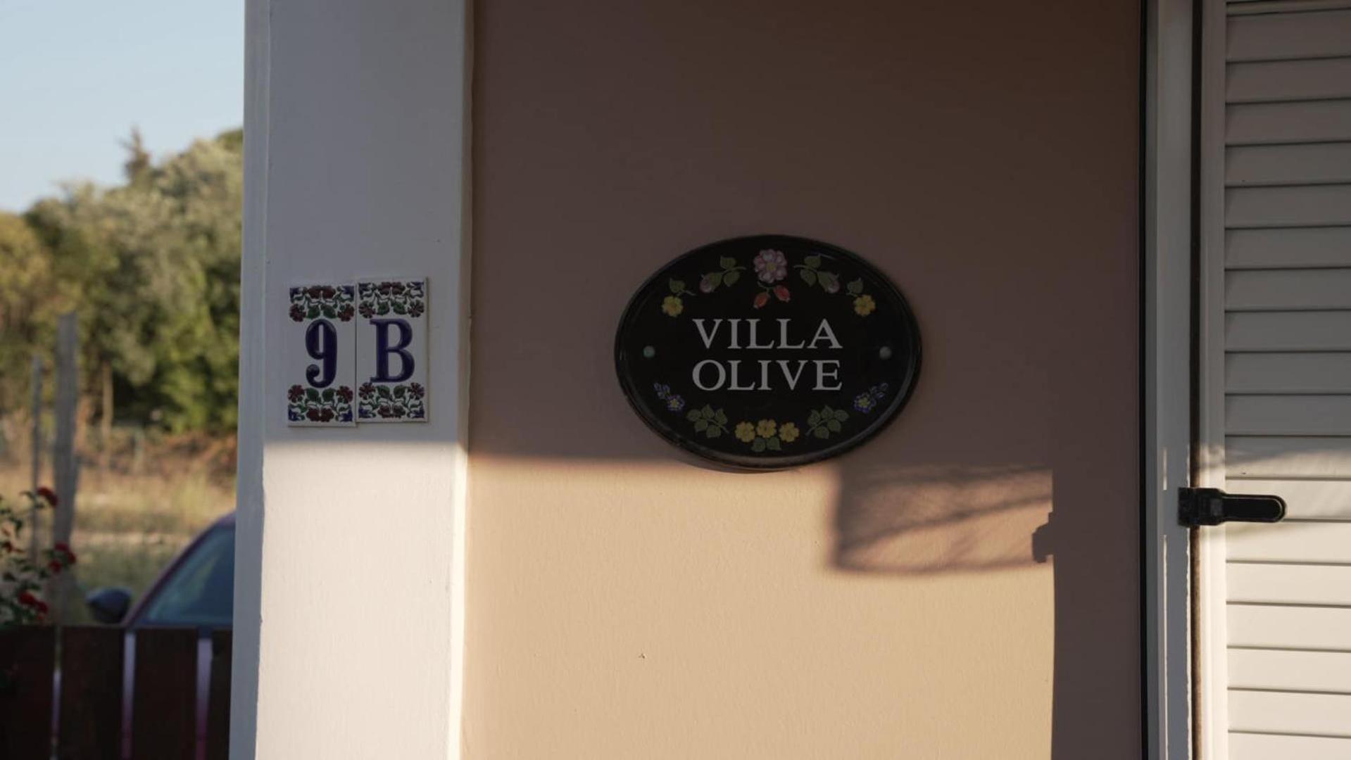 Villa The Olive Grove à Plános Extérieur photo